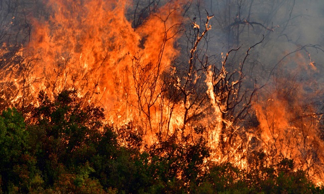 Πυροσβεστική: 34 δασικές πυρκαγιές το τελευταίο 24ωρο σε όλη τη χώρα